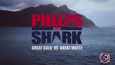 Фото и видео: кто быстрее - олимпийский чемпион Майкл Фелпс или акула-убийца?